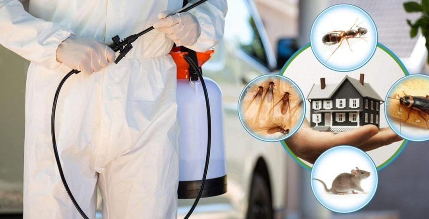 İzmit Böcek İlaçlama