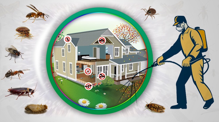 İzmit Böcek İlaçlama