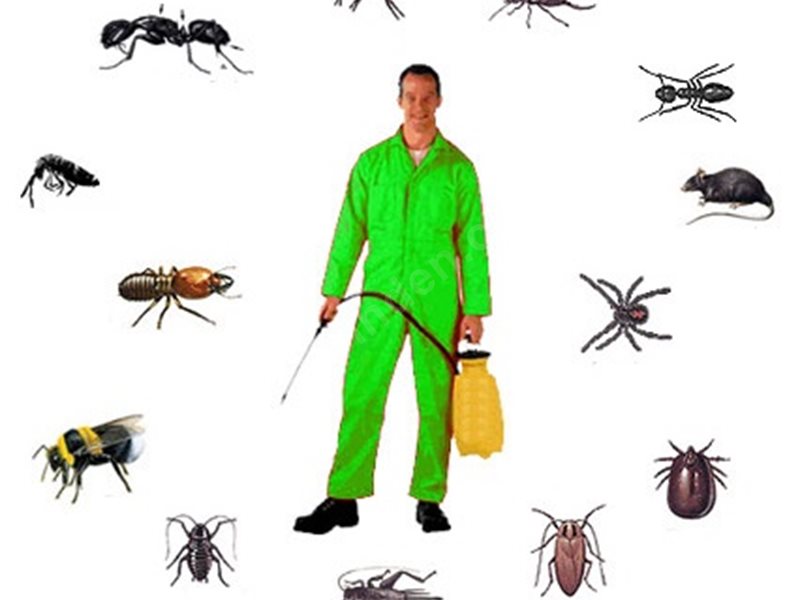 İzmit Böcek İlaçlama